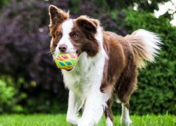 Куди піти у Львові 19 та 20 серпня: афіша подій на вихідні — Львівщіна