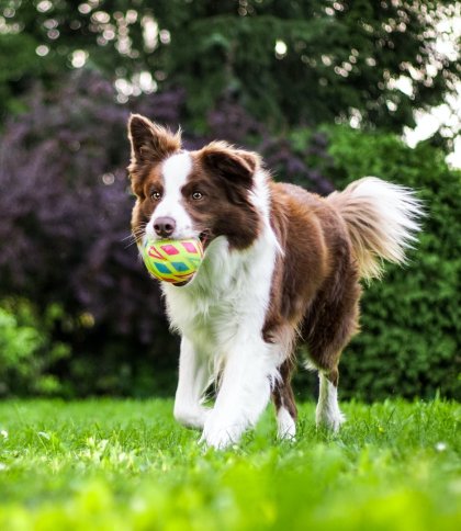 Куди піти у Львові 19 та 20 серпня: афіша подій на вихідні