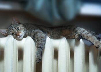 Львів готовий до опалювального сезону на 80%