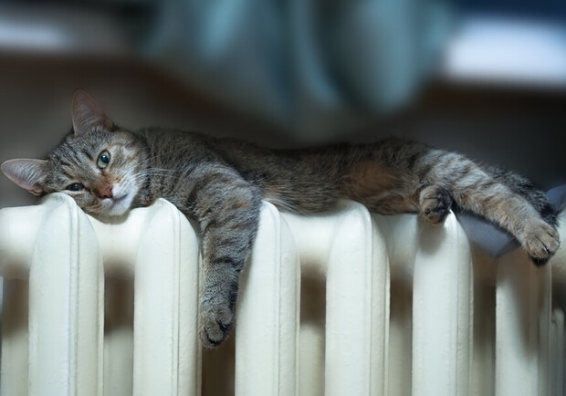 Фото з відкритих джерел