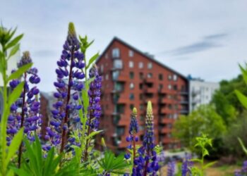 Львів’яни закликають мерію заборонити висотну забудову в одному з районів