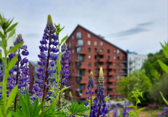 Фото з петиції