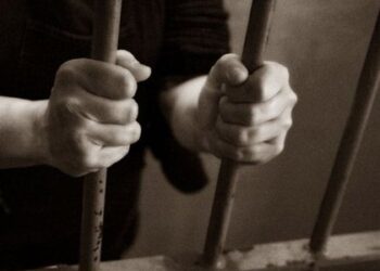 Львів’янин проведе дев’ять років у в’язниці за розповсюдження дитячої порнографії