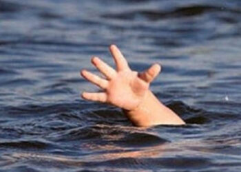 Мама випивала з чоловіками: у водоймі на Львівщині втопилась дворічна дівчинка — Львівщіна