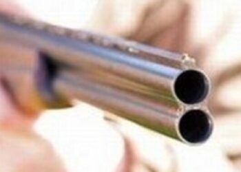 Мешканцю Бродів, який стріляв у собаку, загрожує до 8 років ув’язнення – Надзвичайні події