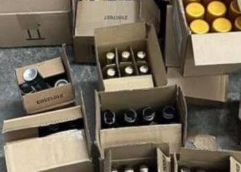 Мешканець Тернопільщини намагався незаконно ввезти в Україну понад 500 одиниць косметики – Надзвичайні події