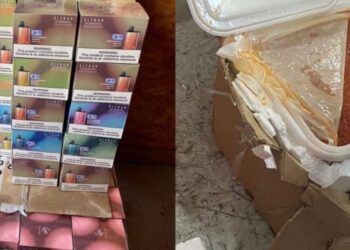 На кордоні затримали водія, який незаконно перевозив 700 кг ікри й тисячі електронних сигарет – Надзвичайні події