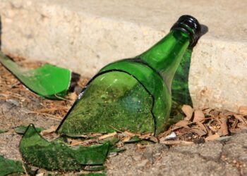 На Львівщині чоловіка підозрюють у вбивстві  безпритульного собаки