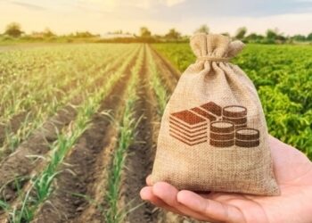 На Львівщині виставили на торги п’ять земельних ділянок