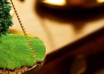 На Сокальщині незаконно віддали в комунальну власність 2 га земель оборони – Надзвичайні події