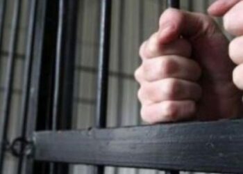 Намагався «відкупити» свого працівника за скоєне смертельне ДТП: на Львівщині взяли під варту директора товариства — Львівщіна