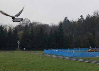 Рештки радянських військових перенесуть з Личаківського кладовища