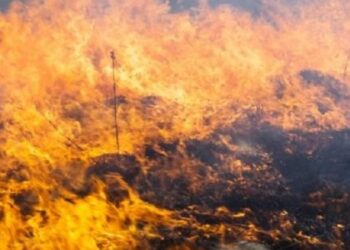 Синоптики попереджають про пожежну небезпеку на Львівщині — Львівщіна