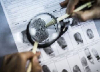 У Франції чоловік пробрався у штаб-квартиру Інтерполу і вкрав комп’ютери – Світ