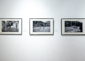 У Львові відкрили виставку Карла Звіринського з краєвидами Гуцульщини. Фото