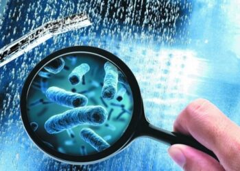 У польському місті неподалік від Львова зафіксували спалах смертельної хвороби