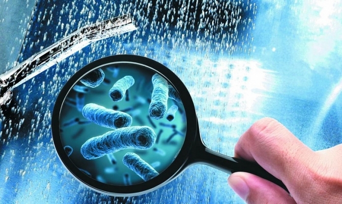 фото: умовне