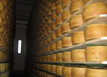 В Італії на власника сироварні впало 25 тисяч головок сиру – Світ