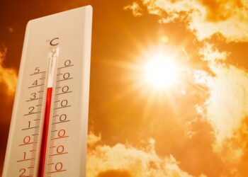 Цьогоріч літо стало найспекотнішим за всю історію спостережень