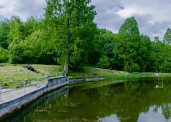 Львів’ян запрошують на прибирання берегів водойм