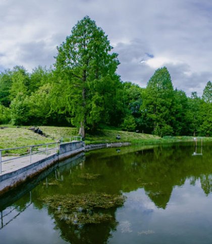 Львів’ян запрошують на прибирання берегів водойм