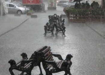 Львовом пройшла злива: у міськраді розповіли про наслідки