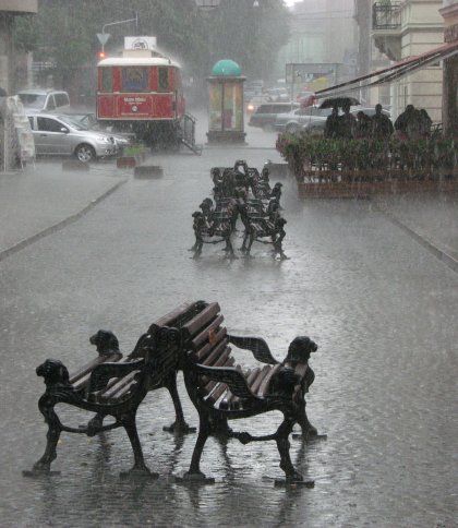 Львовом пройшла злива: у міськраді розповіли про наслідки 