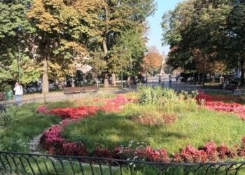 Майже пів мільярда гривень на дороги, фонтани, клумби: як тратить гроші у час війни мерія Львова