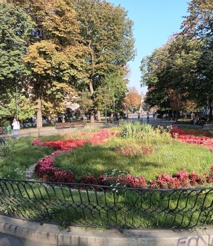 клумба на площі Марійській