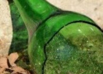 Мешканця Кам’янки-Бузької підозрюють у жорстокому вбивстві собаки – Надзвичайні події