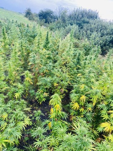 Фото зі сторінки поліції Івано-Франківської області