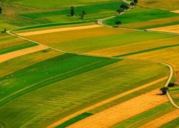 На Львівщині планують здавати в оренду понад 125 га землі