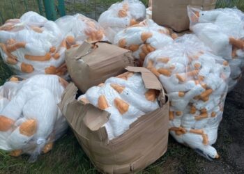 На Львівщині викрили чоловіка, який хотів ввезти іграшки як гумдопомогу