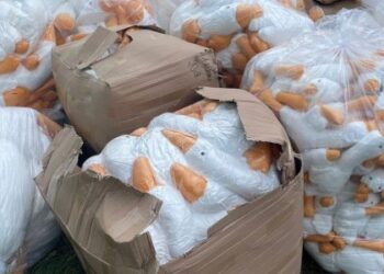 На Львівщині затримали чоловіка, який віз з Польщі півтори тисячі штук популярних м’яких іграшок — Львівщіна