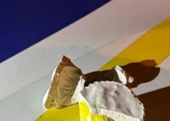 У Львові патрульні затримали дівчину, яка ховала у гіпсових кексах білий порошок – Надзвичайні події