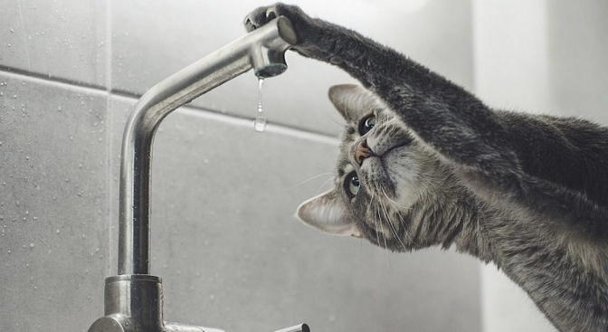 Фото умовне