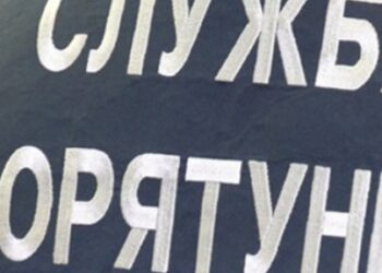 Зачинилася та кликали на допомогу: на Львівщині рятувальники допомогли поліції потрапити у квартиру до літньої жінки — Львівщіна