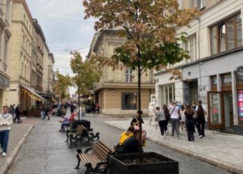 «Засихають в дерев’яних ящиках». Львів’яни просять пересадити клени в центрі міста
