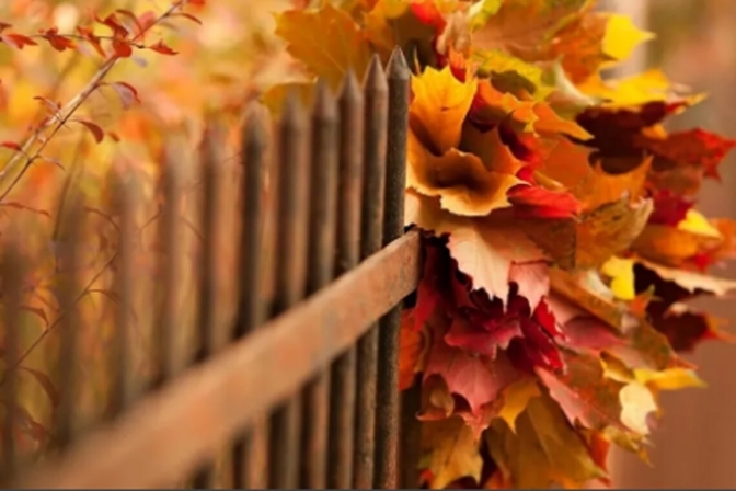 Фото умовне