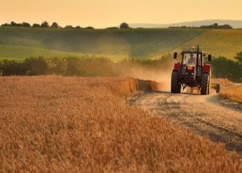 На Львівщині виставили на продаж дві земельні ділянки