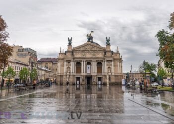 На проспекті Свободи у Львові видалять кілька дерев. Чи висадять нові натомість