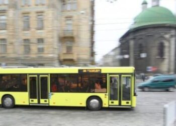 Начальник міського управління транспорту пояснив чому водія, який зачинив двері маршрутки перед військовим, не звільнили
