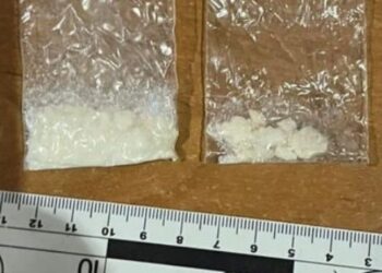 Приймали замовлення по телефону: на Самбірщині судитимуть 2 наркоторговців – Надзвичайні події