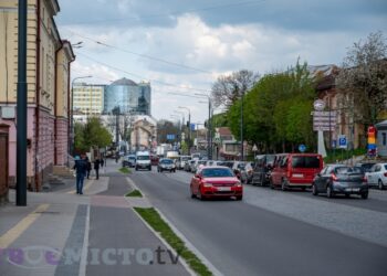 Скільки дерев висадили на Шевченка у Львові після реконструкції та чи планують ще