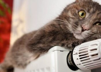 У Бориславі 17 жовтня розпочнеться опалювальний сезон — Львівщіна