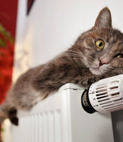 У Бориславі 17 жовтня розпочнеться опалювальний сезон