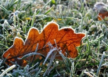 У Львові прогнозують сніг і заморозки