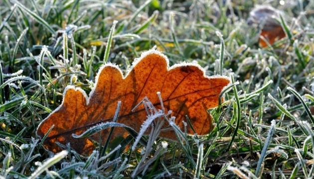 фото умовне