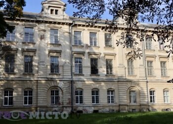 У Львові за 24 млн грн планують відремонтувати головне відділення психіатричної лікарні