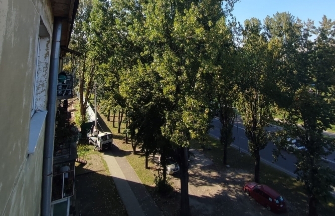 Фото з Гарячої лінії Львова